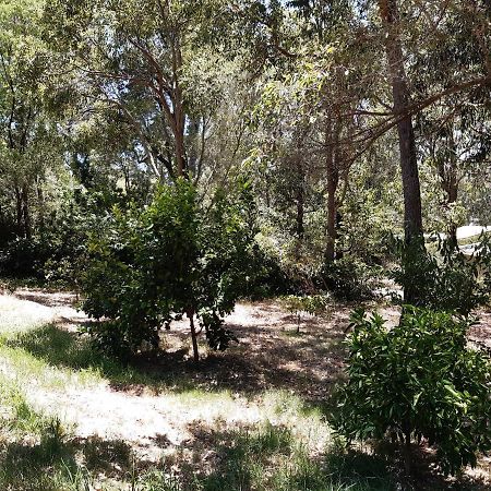 Mundaring Bed And Breakfast Exteriör bild