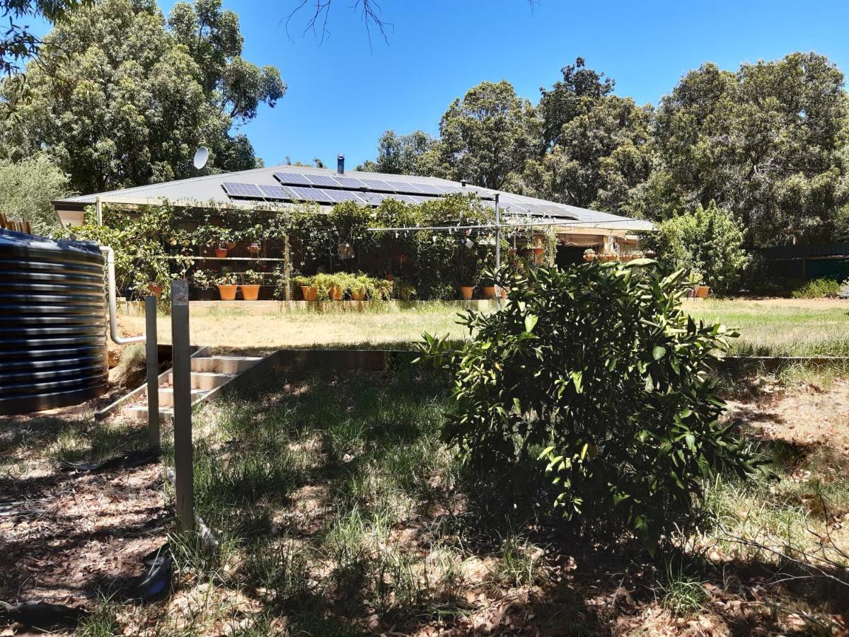 Mundaring Bed And Breakfast Exteriör bild